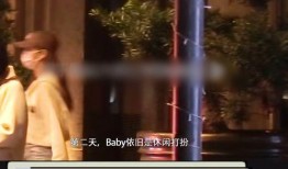 袁咏仪狗仔爆料视频大全,揭秘娱乐圈幕后真相