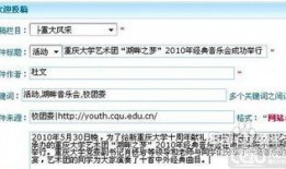 爆料投稿新闻格式,揭秘某明星涉嫌偷税漏税内幕